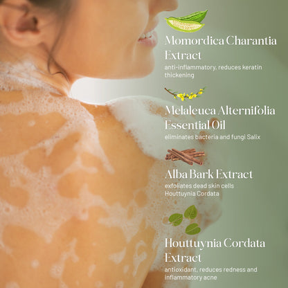 ABERA Folliculitis, BHA Shower Gel, High-Performance Folliculitis Body Wash, Wild Bitter Melon Extract