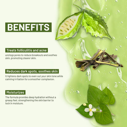 ABERA Folliculitis, BHA Shower Gel, High-Performance Folliculitis Body Wash, Wild Bitter Melon Extract