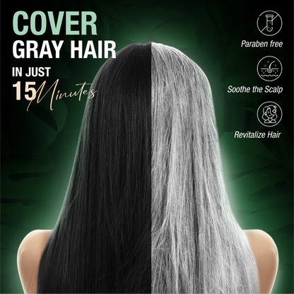 Abera Hair Dye Shampoo | One-Wash Black Hair Color for Grey Coverage with Natural Dark Tone